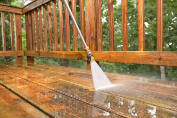 Best Deck Cleaning Services  in Montrose, MI